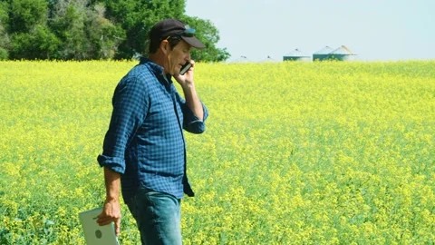 Farmer using a tablet and talking on a cell phone as he reviews and inspects a b 스톡 동영상 163161668