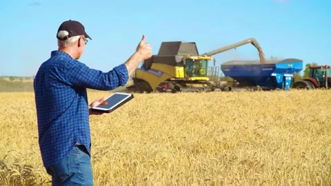 A farmer using a tablet with a combine working in the background offloading whea Video stock 163180883