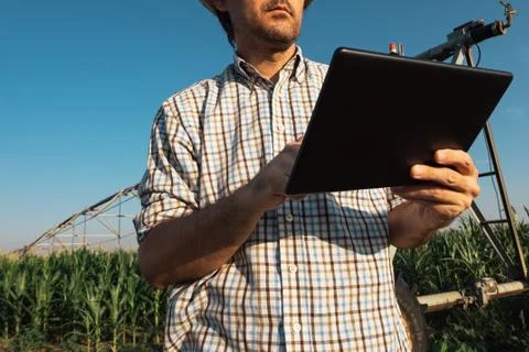 Farmer using tablet computer in cornfield with irrigation system Stock Photos