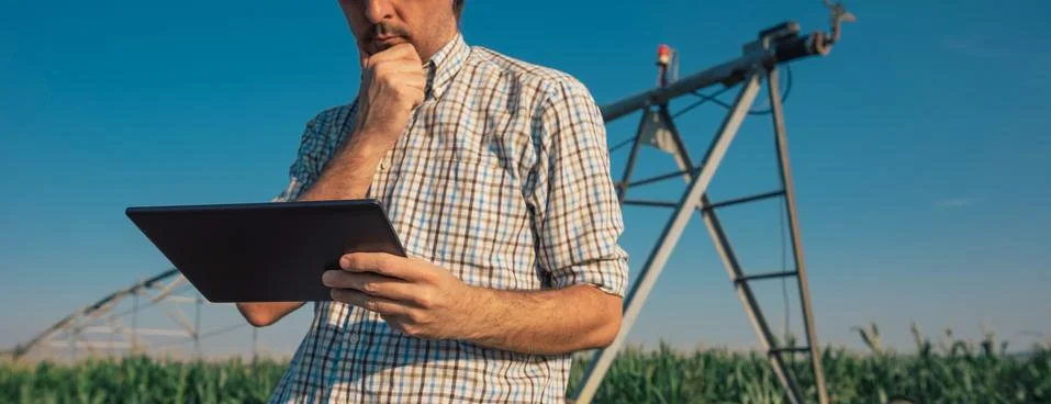 Farmer using tablet computer in cornfield with irrigation system Stock Photos
