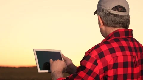 Farmer using tablet hand check agriculture data during sunset. standing wheat Stock Footage 246686884