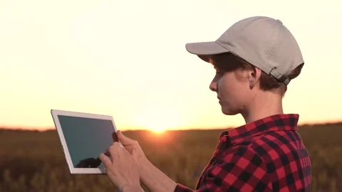 Farmer using tablet hand watches sunset wheat field. beautiful image agriculture Stock Footage 247399472