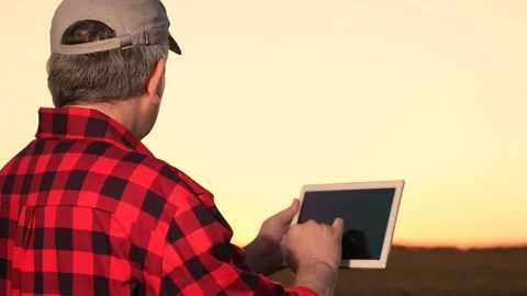 Farmer using tablet hand watches sunset wheat field. beautiful image agriculture Stock Footage 247861345
