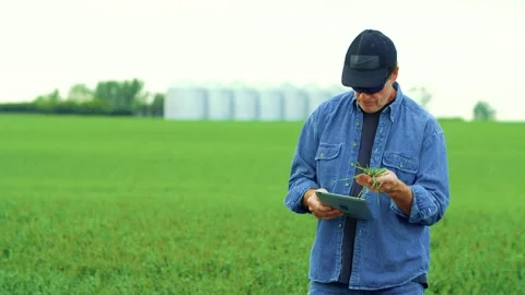 A farmer using a tablet to inspect a growing crop with silos in the background 스톡 동영상 163162098