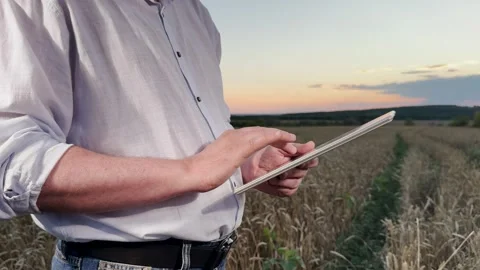 Farmer using tablet in wheat field, digital technology in agriculture, modern Stock Footage 308321689