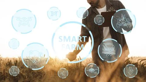 Farmer using technology on smart farm to improve crop production and management Stock Photos