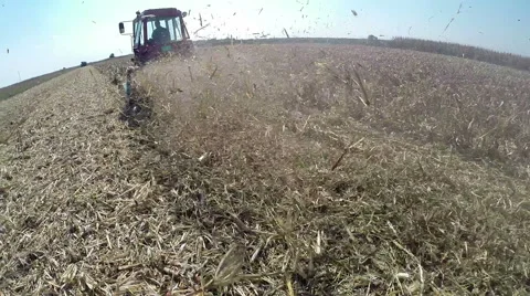 Farmer Using Tractor to Cut Down Corn Stalks Stock Footage 68147149