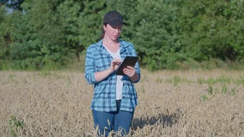 A farmer utilizing a tablet in the field for efficient management of agricultura Stock Photos