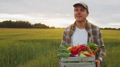 Farmer with a vegetable box in front of a sunset agricultural landscape. Man in Stock Footage 207670588