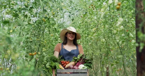 Farmer, vegetables and woman on sustainable, agriculture and eco friendly farm Stock Footage