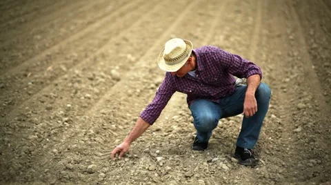 Farmer verifying soil; Full HD Photo JPEG Stock Footage 8659047