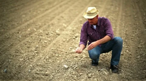 Farmer verifying soil; Full HD Photo JPEG Stock Footage 8659319