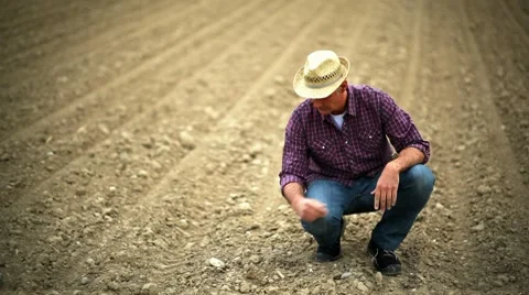 Farmer verifying soil; Full HD Photo JPEG Stock Footage 8659659