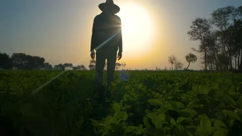 Farmer walk in field. Nature View Stock Footage 234489028