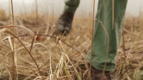 The farmer is walking along the field, not far from the farm Stock Footage 73333491