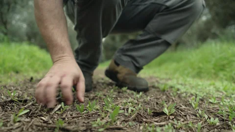 Farmer walking and touching to check soil Stock Footage 289379933