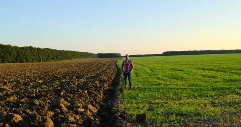 Farmer walking in corn fields at sunset. Agricultural scene.organic squash field Stock Footage 159861574