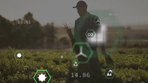 Farmer walking crop rows carrying greens, UI hex icons appearing, tracking CO2 Stock Footage 334743649