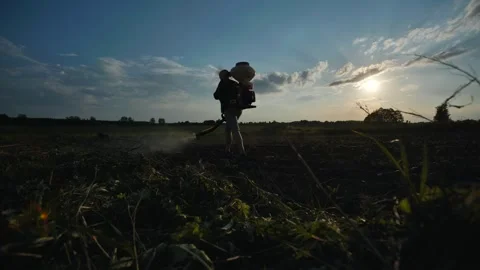 Farmer walking on cultivated field spraying pesticides with manual knapsack Stock Footage 306100729