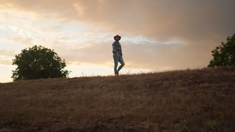 Farmer walking down the wheat field in sunset Stock Footage 252616989