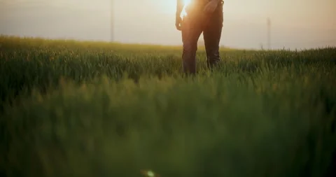 Farmer Walking In Farm At Sunset. Stock Footage 246832289