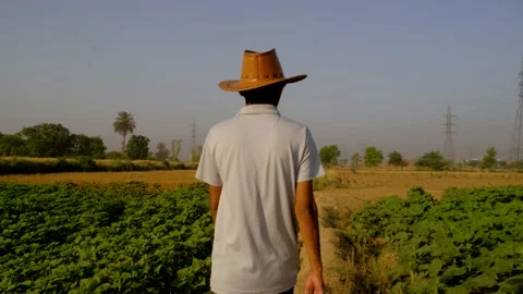 Farmer walking, farmer walking in the field, Stock Footage 194312883