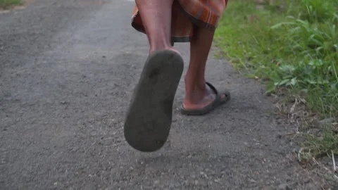 Farmer walking 動画素材 145237458