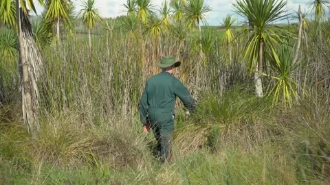 Farmer walking in Long Native Wetlands Stock Footage 201177352