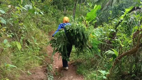 Farmer walking slowly up a steep. Stock Footage 321940753
