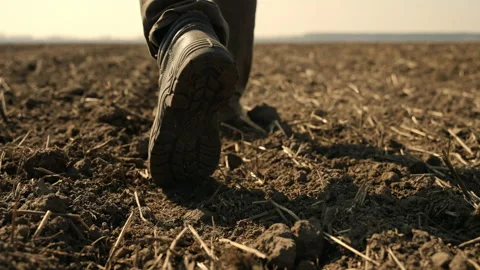 Farmer Walking Through Dry Field - Dust Rising With Every Step Stock Footage 305261565