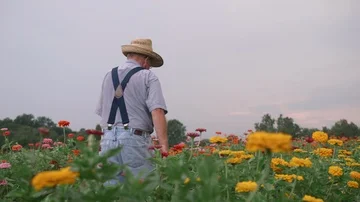 Farmer Walking Through Flower Patch Stock Footage 85578795