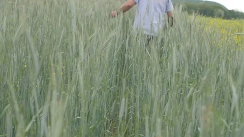 Farmer Walking Through Grass 48 fps Steadicam Stock Footage 87138671