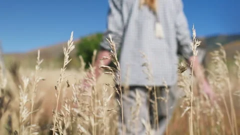 Farmer walking through grass field, mountains, warm tones, blue sky, SloMo Stock Footage 250361802