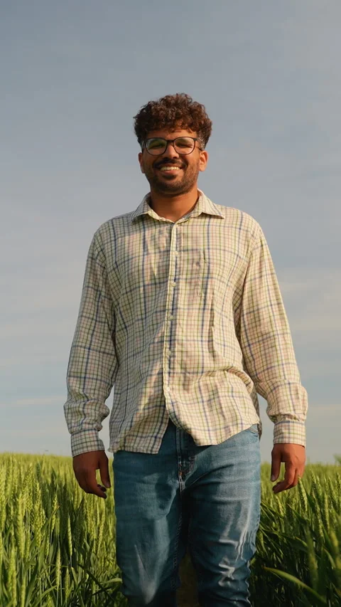 Farmer walking through green wheat field at golden hour Video stock 317204899