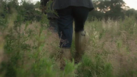 Farmer walking through tall grass at sunset Stock Footage 328349969