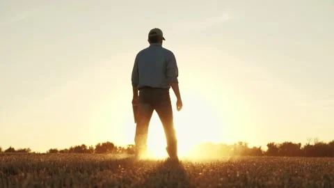 Farmer walking through wheat field in rubber boots, , agriculture, business of Stock Footage 293668824