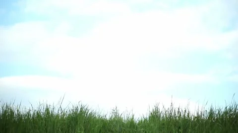 Farmer walking with vegetables basket Stock Footage 8607880