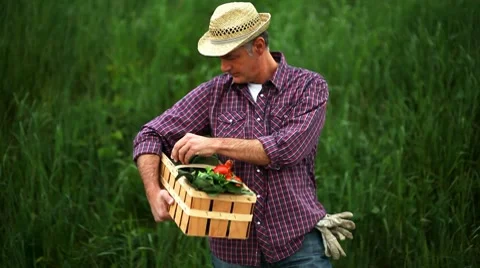 Farmer walking with vegetables basket Stock Footage 8658226