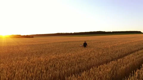 Farmer walking in wheat field Video stock 135604443