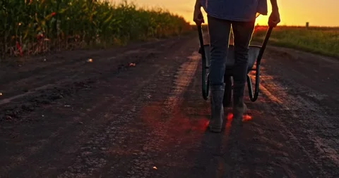 Farmer walking with wheelbarrow in slow motion at sunset, agricultural fiel.. Stock Footage 334859850