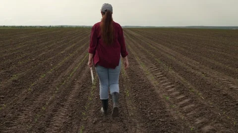Farmer walks boots ground, working with tablet farm, business agriculture Stock Footage 242698802