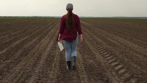 Farmer walks boots ground, working with tablet farm, business agriculture Stock Footage 244550869