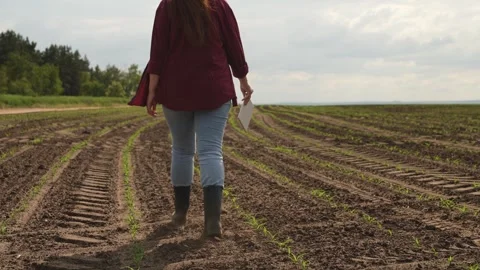 Farmer walks boots ground, working with tablet farm, business agriculture Stock Footage 245283527