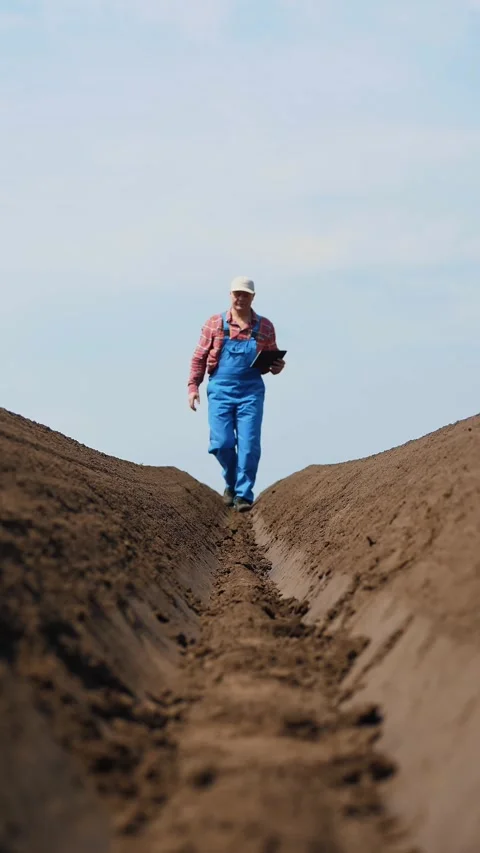 Farmer walks on field, between special soil rows. He tests, using tablet, Stock Footage 314840878