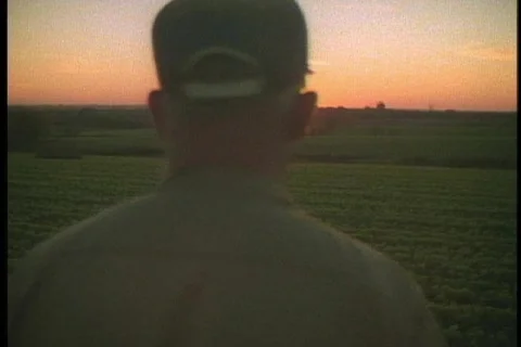Farmer walks in field Stock Footage 117189