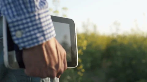 The farmer walks the field with the tablet Stock Footage 89390528