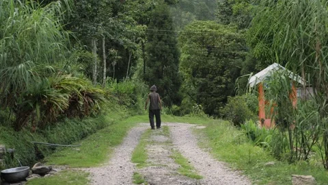 A farmer walks on a path in the forest, in Darjeeling, India Stock Footage 194457585