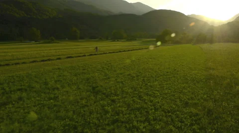 Farmer walks through field Vidéo 44931147