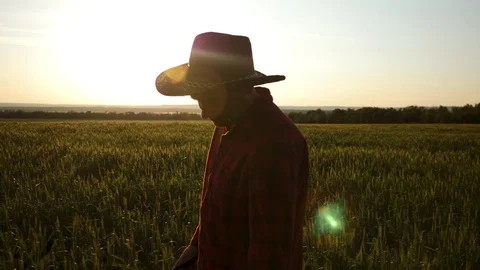A farmer walks through a green wheat field and studies crop growth using a Stock Footage