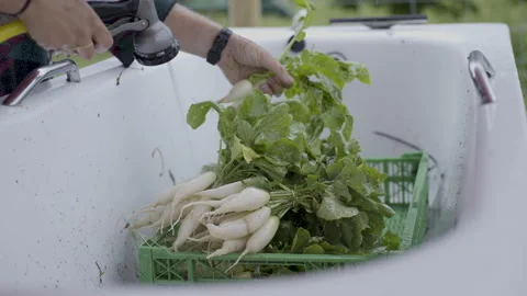 Farmer Washing Vegetables Stock Footage 264886145